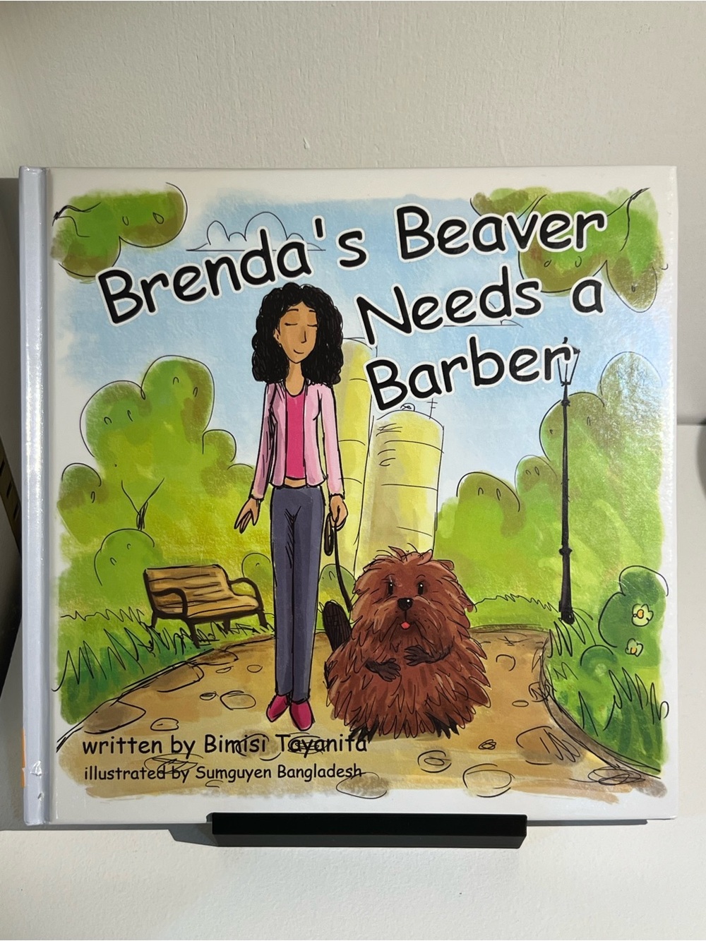 ADULT - Brenda’s Beaver Needs a Barber book